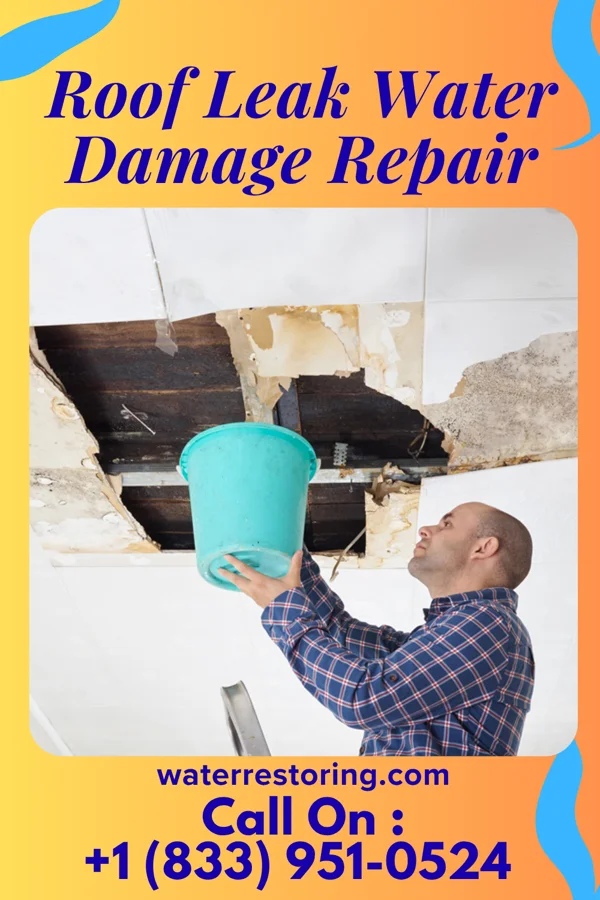 Roof Leak Water Damage Repair in Kinta, OK